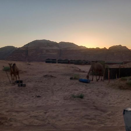 Hotel Bedouin Host Camp& With Tour à Wadi Rum Extérieur photo