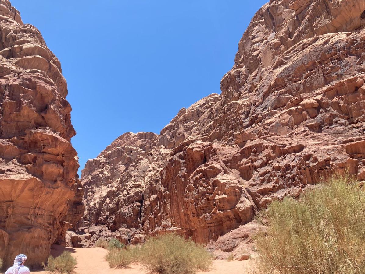 Hotel Bedouin Host Camp& With Tour à Wadi Rum Extérieur photo