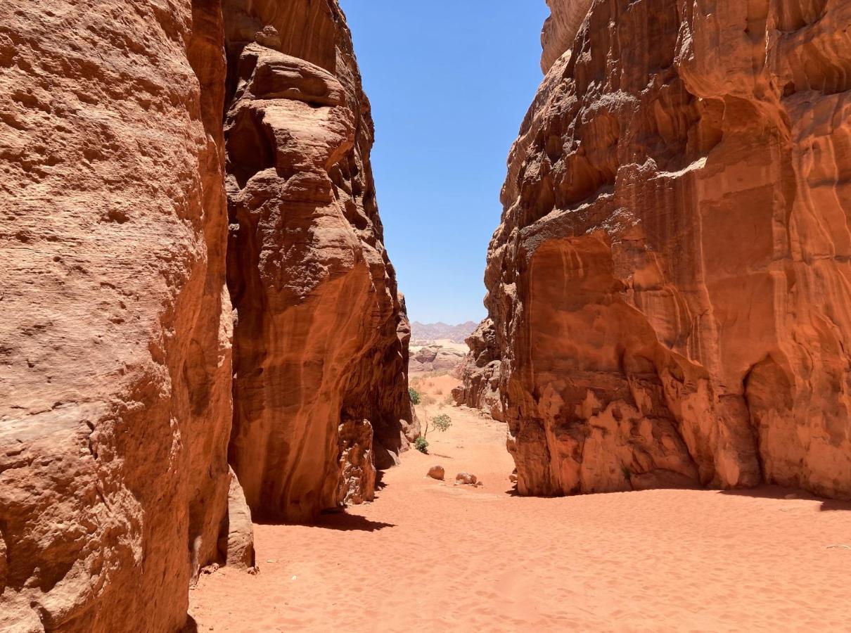 Hotel Bedouin Host Camp& With Tour à Wadi Rum Extérieur photo