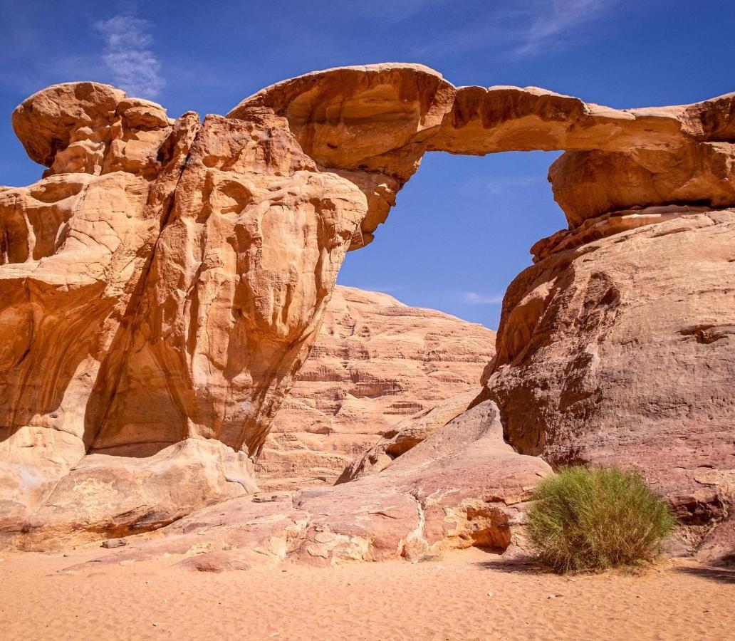 Hotel Bedouin Host Camp& With Tour à Wadi Rum Extérieur photo