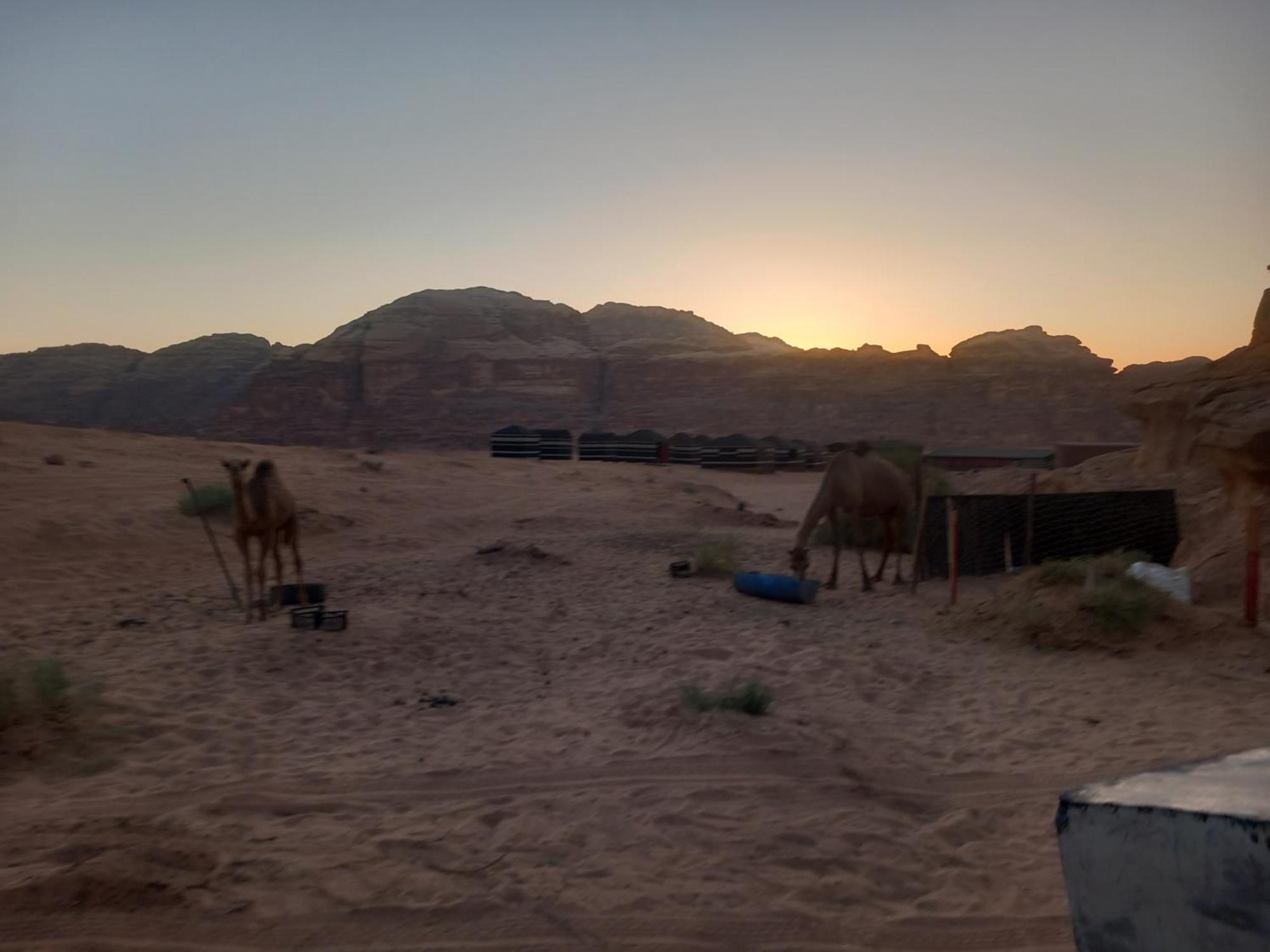 Hotel Bedouin Host Camp& With Tour à Wadi Rum Extérieur photo